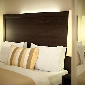 Double or Twin Room City View